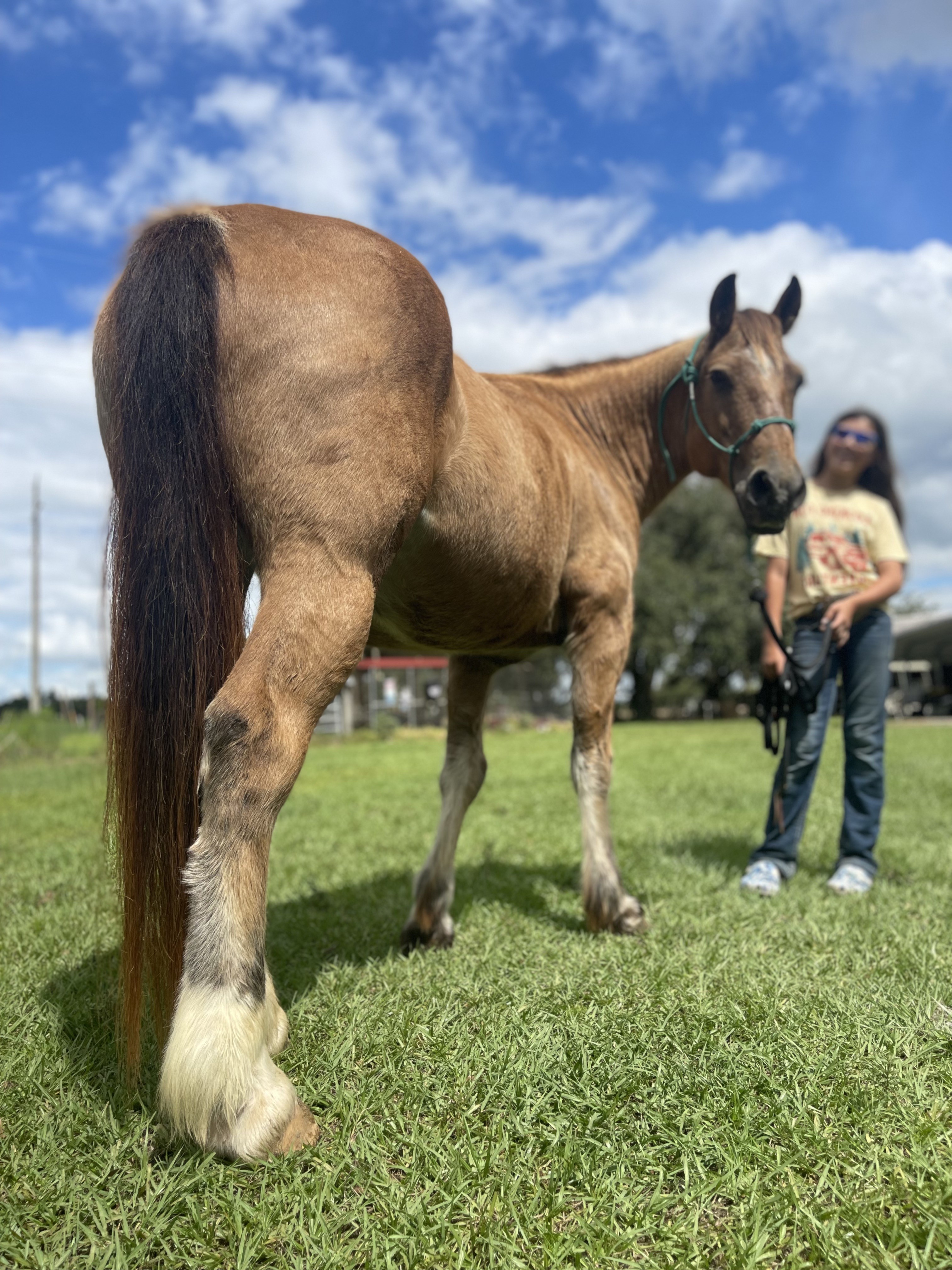 Acton Academy Alva horse riding activity