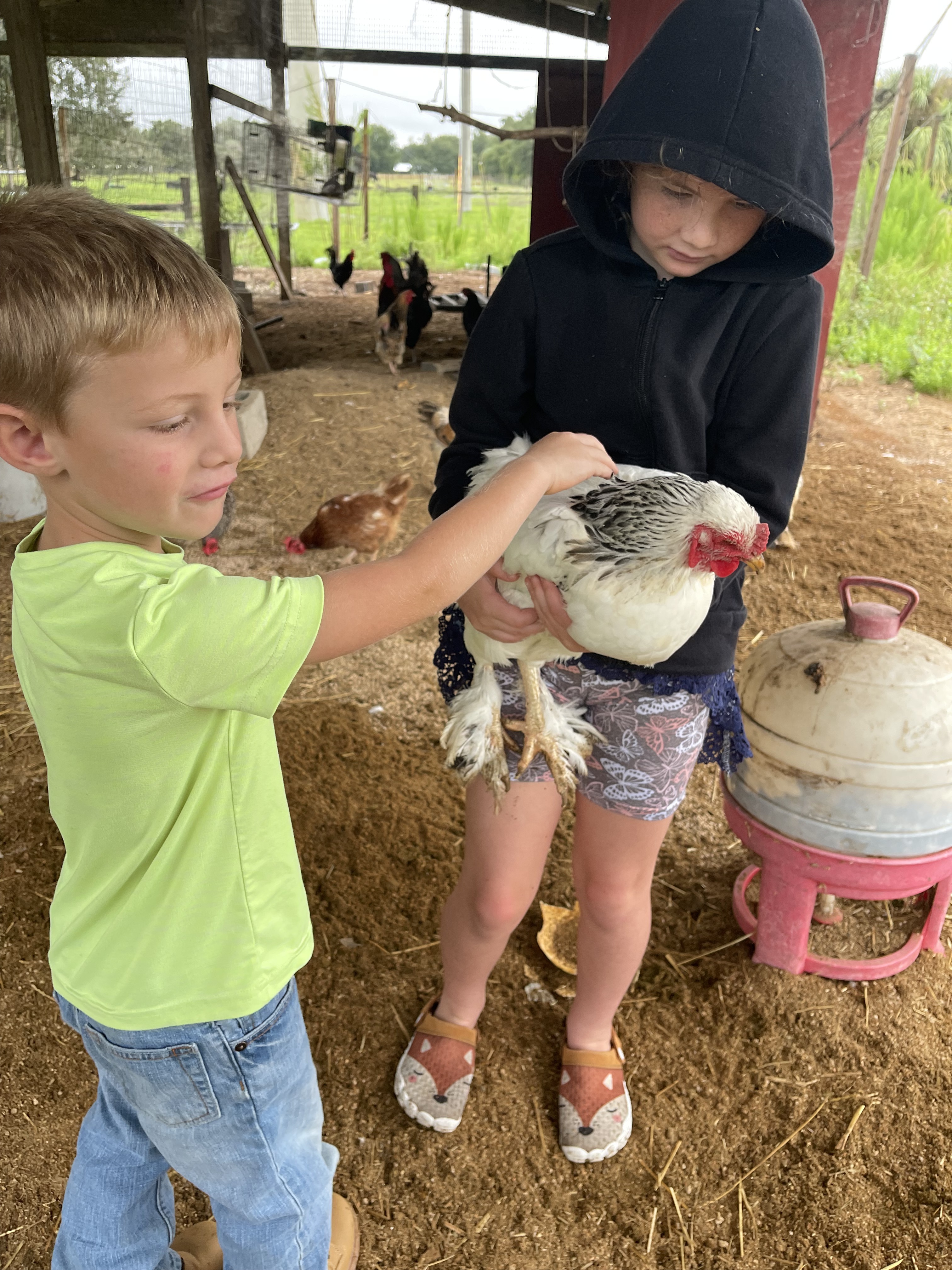 Acton Academy Alva chicken coop lesson